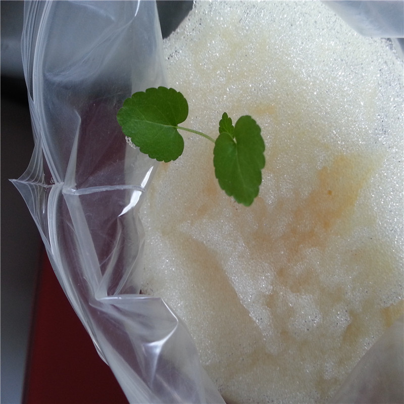 樹脂 樹脂